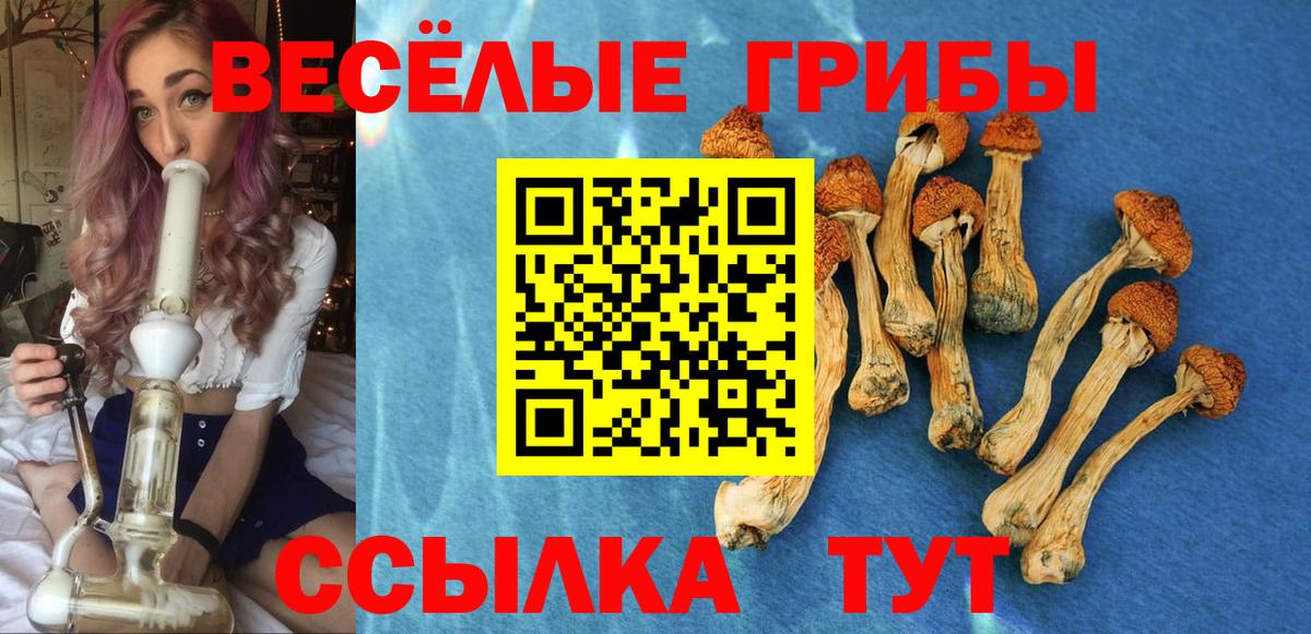 Псилоцибиновые грибы ЛСД Кушва